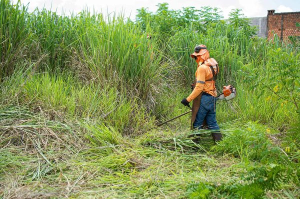 Jasa Potong Rumput, Tukang Kebun Borongan